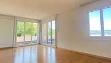 5.5-Zimmer-Attikawohnung mit grosser Terrasse und toller Aussicht