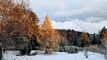 Residential building for sale in the region of Châtel-St-Denis