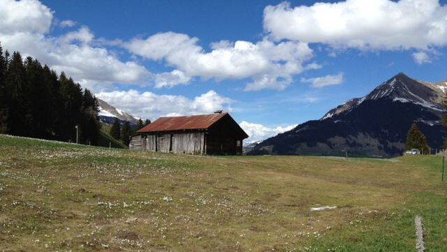 VENDU ! La Forclaz : authentique chalet à rénover