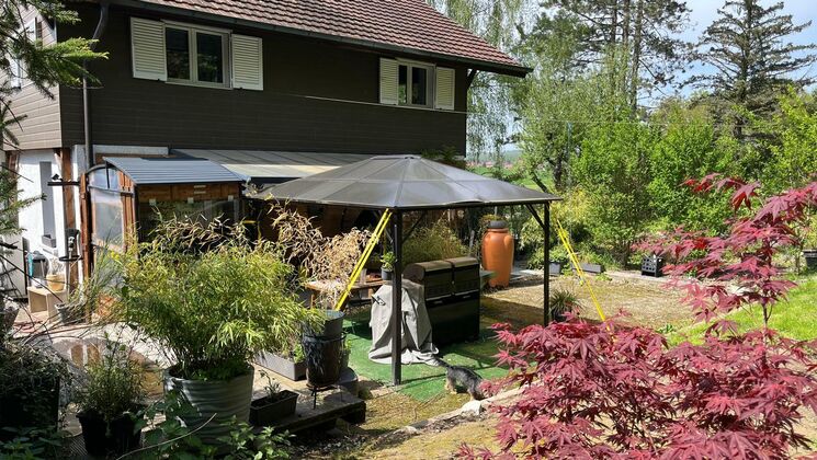 l'arrière-cour d'une maison avec un jardin et des arbres
