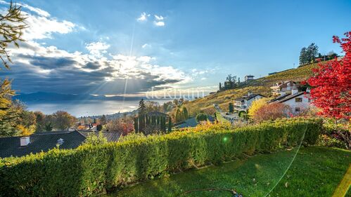 Single family house CH-1092 Belmont-sur-Lausanne
