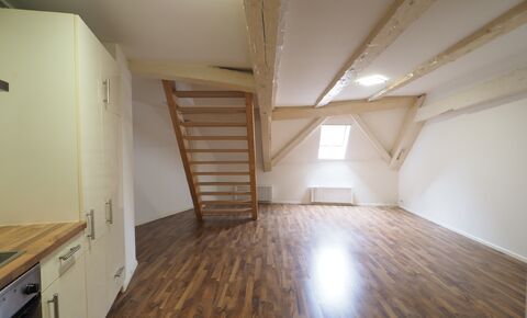Grand appartement duplex en ville