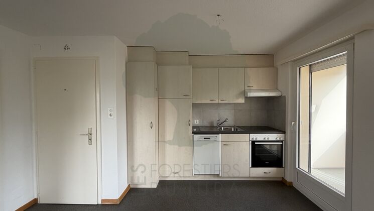 Appartement 2.5 pièces