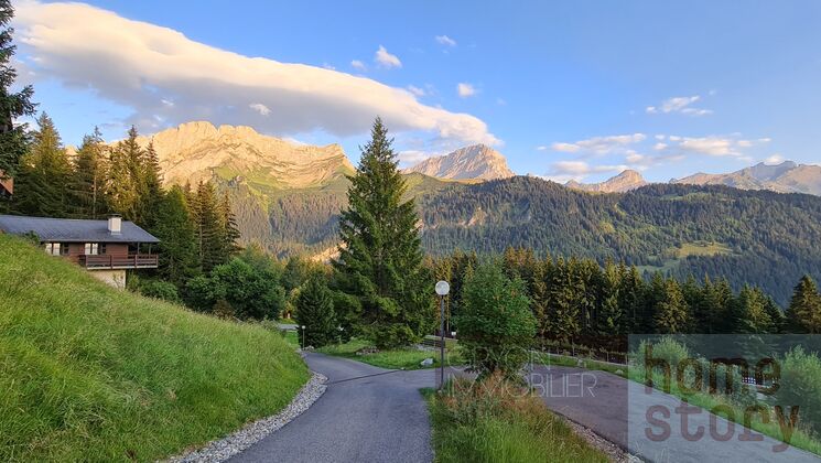 Gryon Immo propose un charmant chalet de 4 pièces proche des pistes