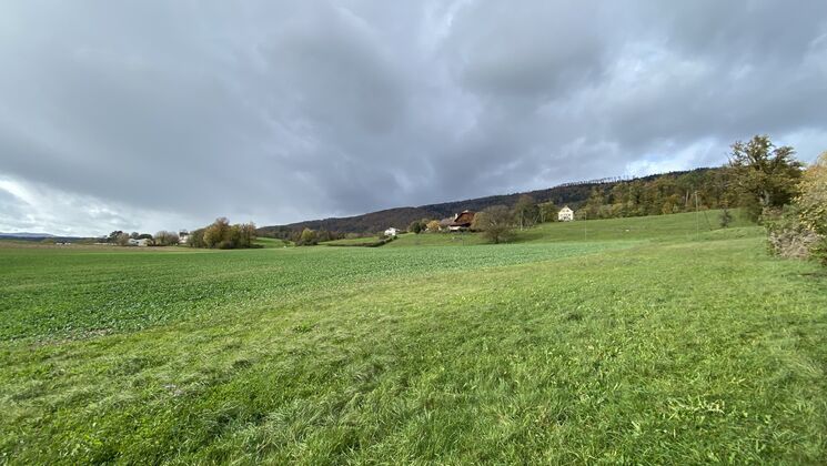 Terrain de 1'966 m2 idéalement situé dans un quartier résidentiel Terrain de 1'966 m2 idéalement situé dans un quartier résidentiel