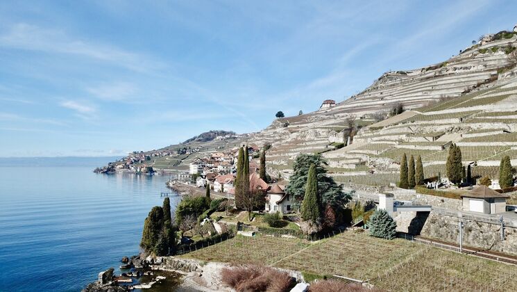Maisonette-Wohnung CH-1071 St-Saphorin (Lavaux)