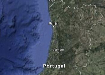 BEAUTIFUL VINEYARD IN PORTUGAL