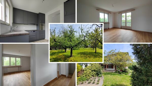 Einfamilienhaus/Gartenparadies mit Baulandreserve!