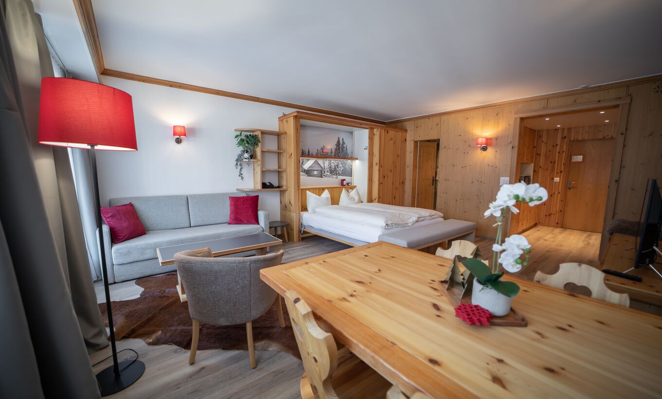 Studio in Alpine style