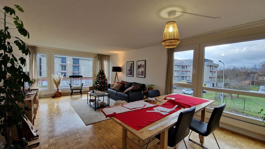 Renovated apartment