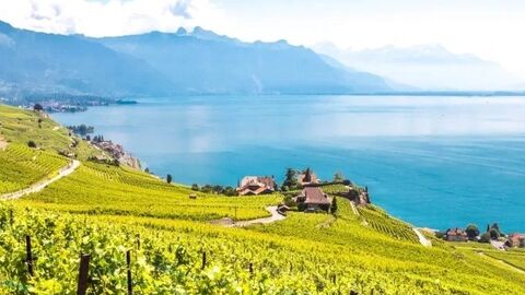 Maison vigneronne au cœur du Lavaux