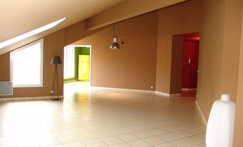 Spacious apartment in Collonges sous Salève - 2 minutes from the border