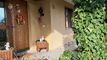 WOHNEN in STADTNÄHE 
5½ Zi-Reihen-Mittelhaus in Baden-Dättwil