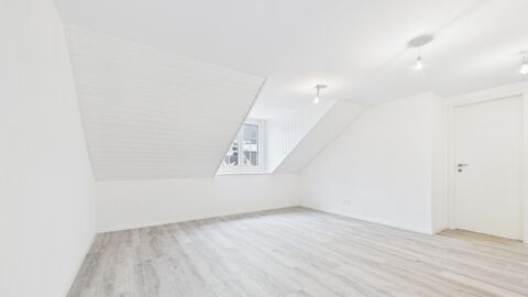 Zu vermieten: Komplett renovierte 3.5-Zimmer-Wohnung in kleinem Gebäud