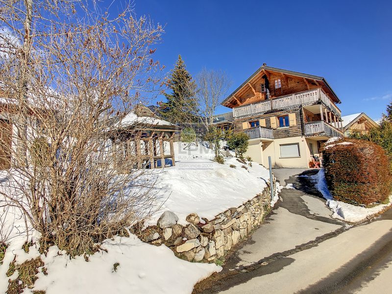 Large renovated chalet, 280m2, with separate 1 bedroom apartment