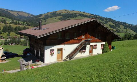 Holiday apartment CH-3777 Saanenmöser