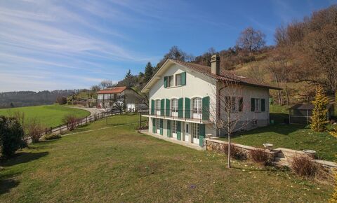A dream: Panoramic Lake and Alp views - character - space all around