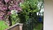 2 MONTHS OF RENT OFFERED!!! 3.5 room apartment with private garden