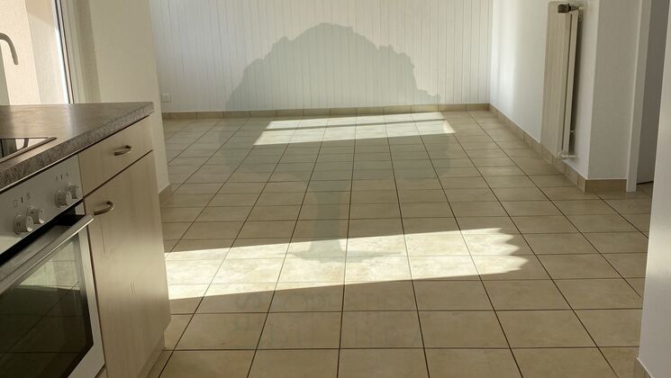 Appartement 3.5 pièces