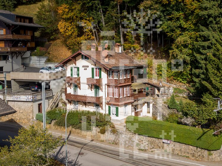 Image for Les Mousses