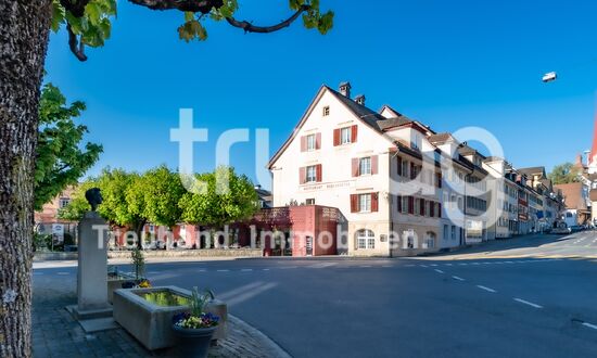 Charmantes Wohn- und Geschäftshaus 