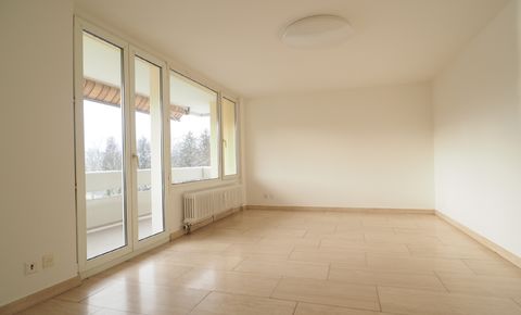 Bright 3.5 room apartment with balcony and parking space