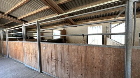 tolle, grosse Pferdeboxe(n) mit Direktzugang zu Weide