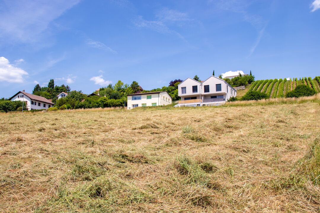Projet immobilier à Valeyres avec 2 maisons construites, l'extérieur