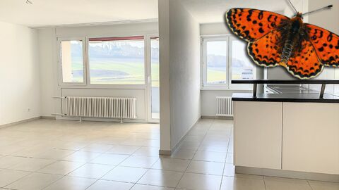 Wohnung CH-1796 Courgevaux, Champ Olivier 27