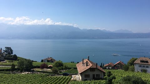 Village house CH-1091 Grandvaux, Grandvaux