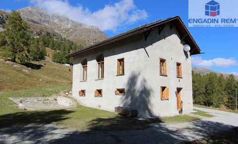 Love nest - Acla Albanatscha