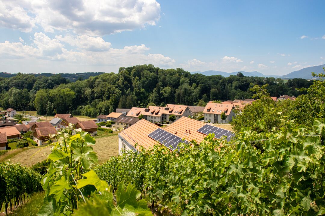 Projet immobilier à Valeyres avec 2 maisons construites, l'extérieur