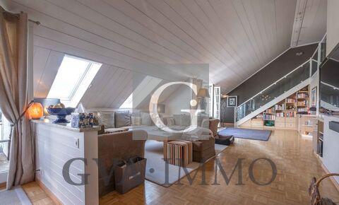 Superb duplex penthouse apartment near Carouge