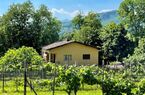 Spaziosa , confortevole e tranquilla villa nel verde con bella piscina