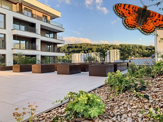 Jardins potagers