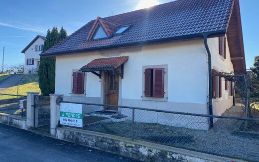 Interesting house with garden, small chalet and garden shed.