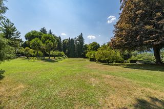Property with 25.000 sqm in Collina d'oro