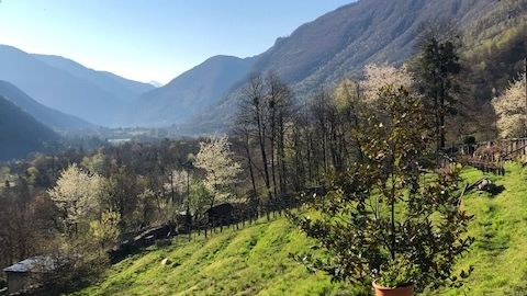Rückzugsoase im sonnigen Tessin
Charmantes Anwesen im Maggiatal