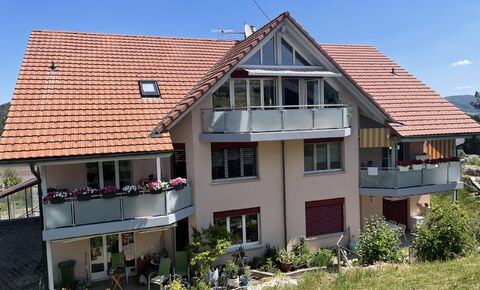 Exclusive, bright penthouse with conservatory and large terrace