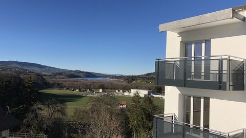 Bel appartement à louer avec vue sur le Lac de la Gruyère ou Moléson