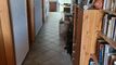 House CH-3963 Crans-Montana