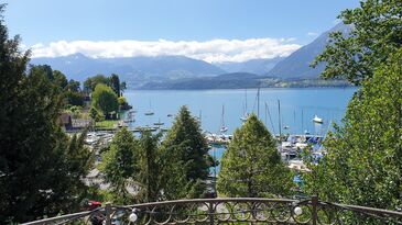 [IMG 6285]