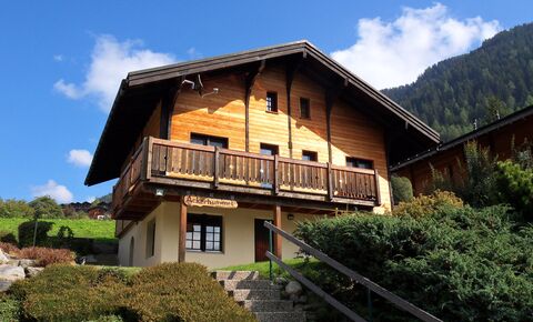 Chalet CH-3995 Ernen