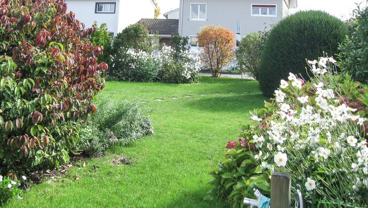 EFH mit schönem Garten wartet auf eine Familie