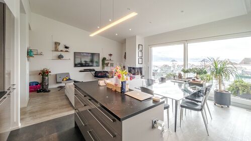 Superbe attique de 3,5 pièces avec terrasse et vue imprenable