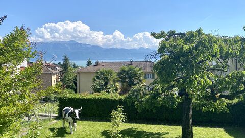 RARE : Au coeur de Pully, maison à rénover, calme et vue panoramique