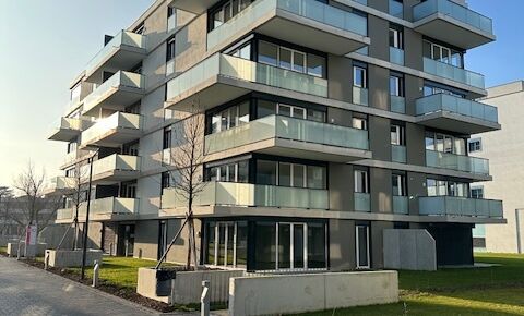 Nouvel appartement central et moderne dans un parc attrayant