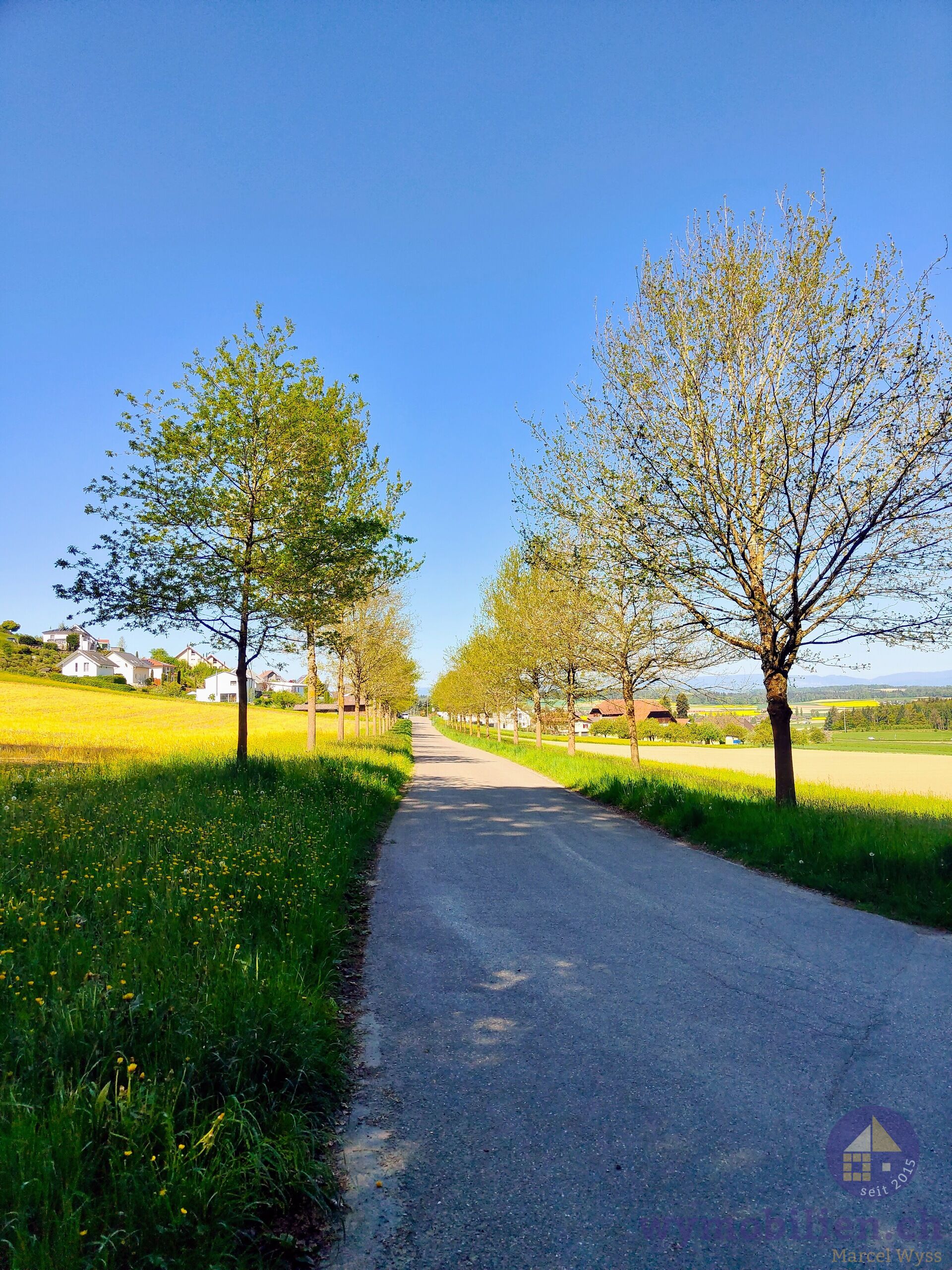 Das Naherholungsgebiet vor der Haustüre