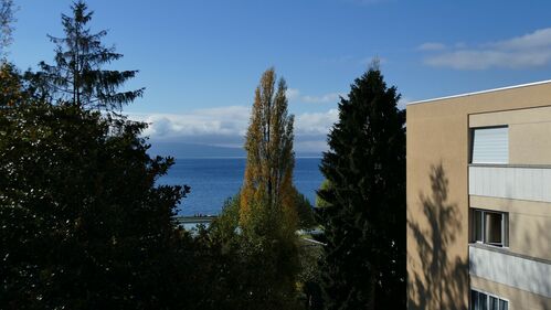 A vendre
25 actions de Société Immobilière
Logement de 4,5 pièces loué
