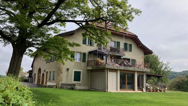 Deux bâtiments avec grand potentiel de rendement. Hors zone à bâtir.
